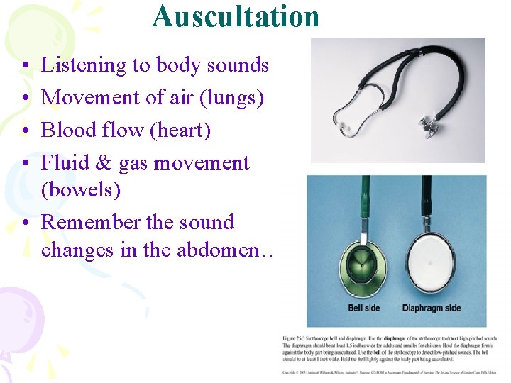 Auscultation • • Listening to body sounds Movement of air (lungs) Blood flow (heart)