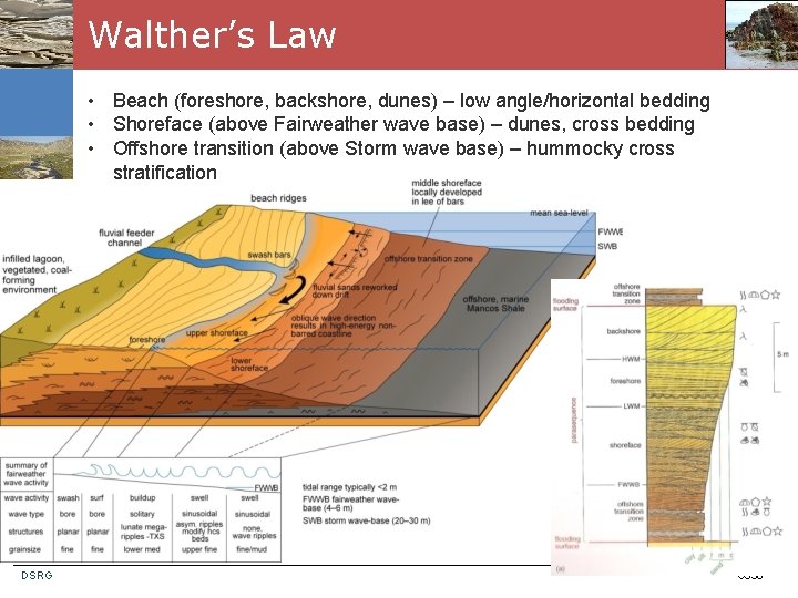 Walther’s Law • Beach (foreshore, backshore, dunes) – low angle/horizontal bedding • Shoreface (above