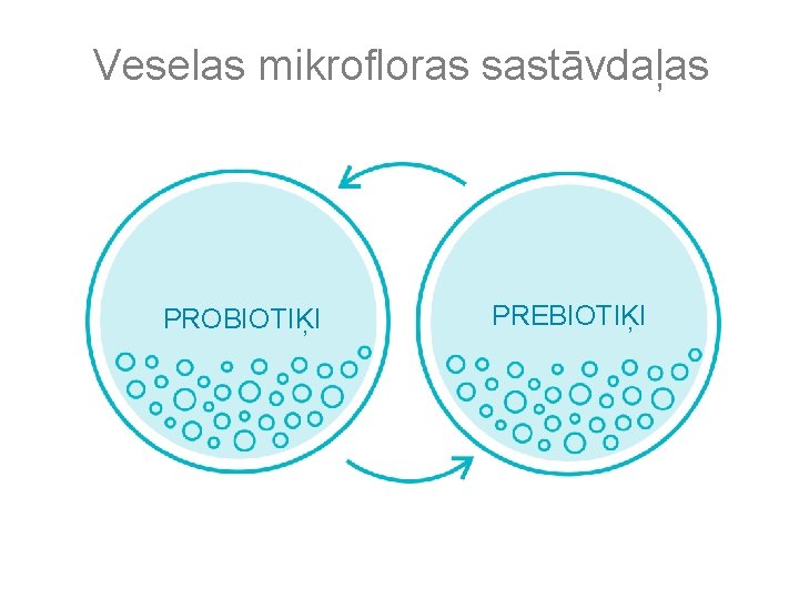 Veselas mikrofloras sastāvdaļas PROBIOTIĶI PREBIOTIĶI 