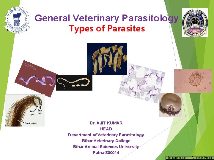 General Veterinary Parasitology Types of Parasites Dr. AJIT KUMAR HEAD Department of Veterinary Parasitology