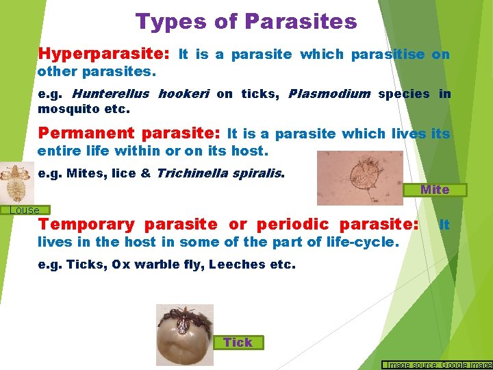 Types of Parasites Hyperparasite: It is a parasite which parasitise on other parasites. e.