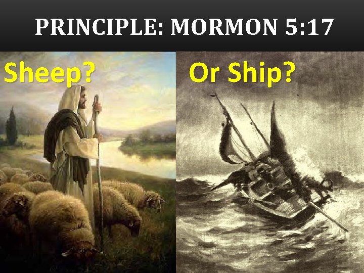 PRINCIPLE: MORMON 5: 17 Sheep? Or Ship? 