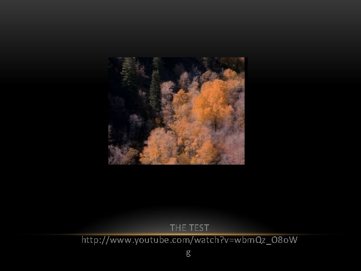 THE TEST http: //www. youtube. com/watch? v=wbm. Qz_O 8 o. W g 