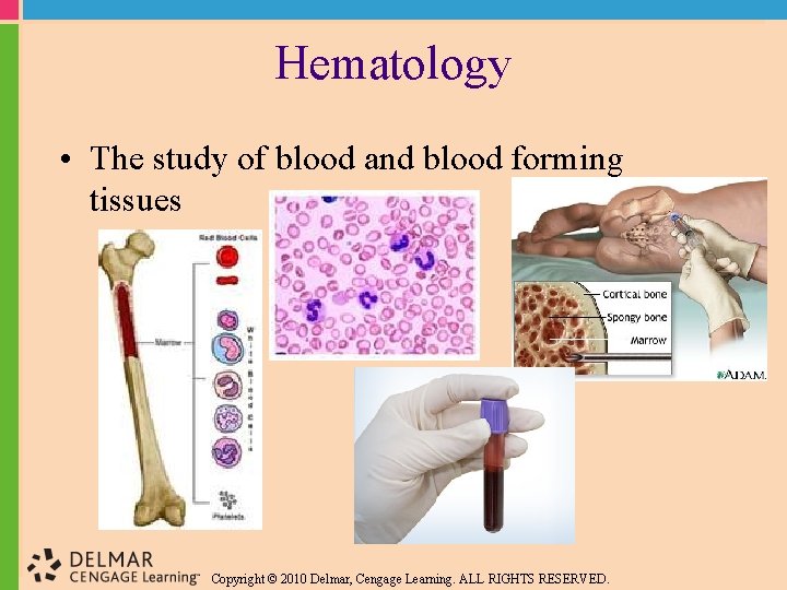 Hematology • The study of blood and blood forming tissues Copyright © 2010 Delmar,