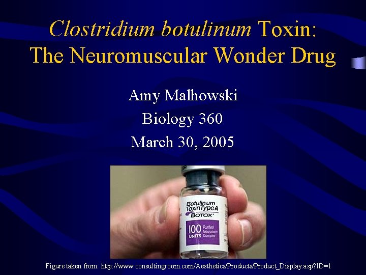Clostridium botulinum Toxin: The Neuromuscular Wonder Drug Amy Malhowski Biology 360 March 30, 2005