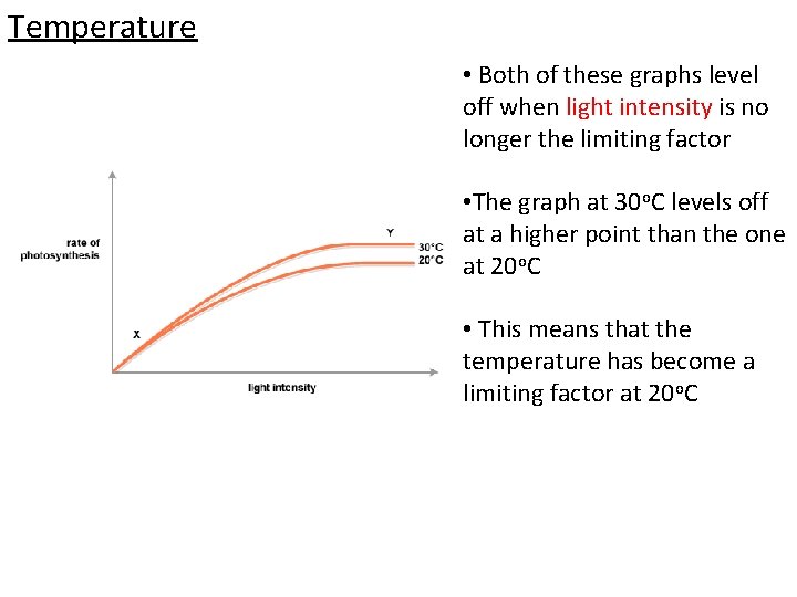 Temperature • Both of these graphs level off when light intensity is no longer