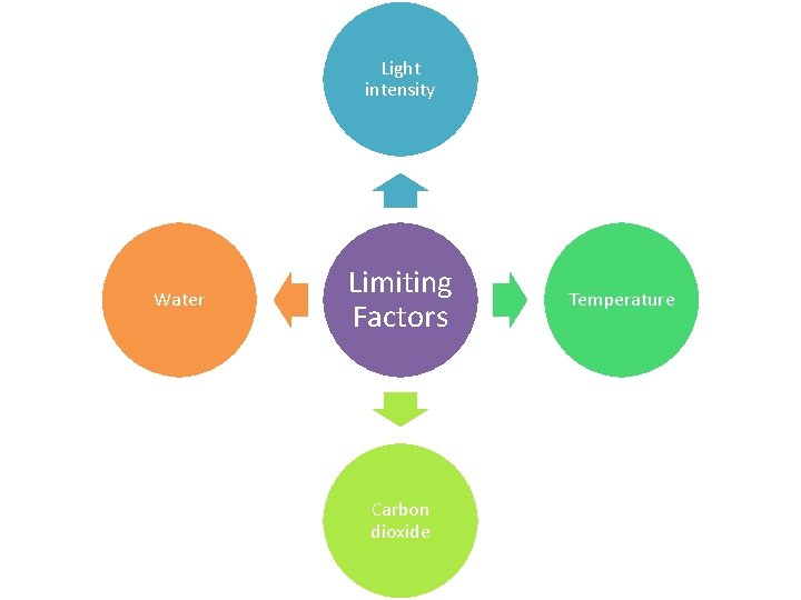 Light intensity Water Limiting Factors Carbon dioxide Temperature 