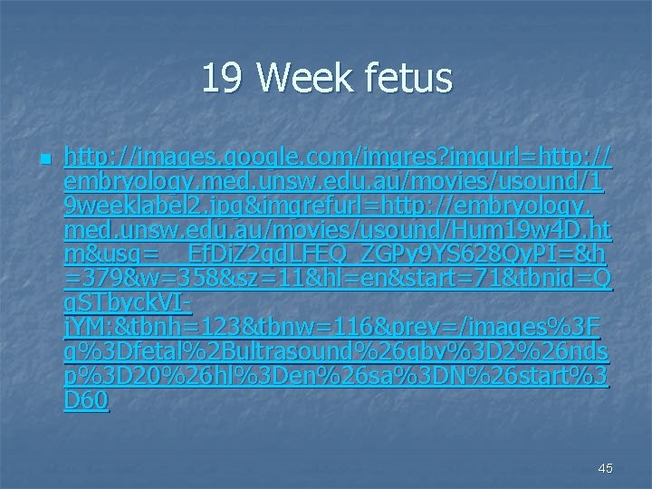 19 Week fetus n http: //images. google. com/imgres? imgurl=http: // embryology. med. unsw. edu.