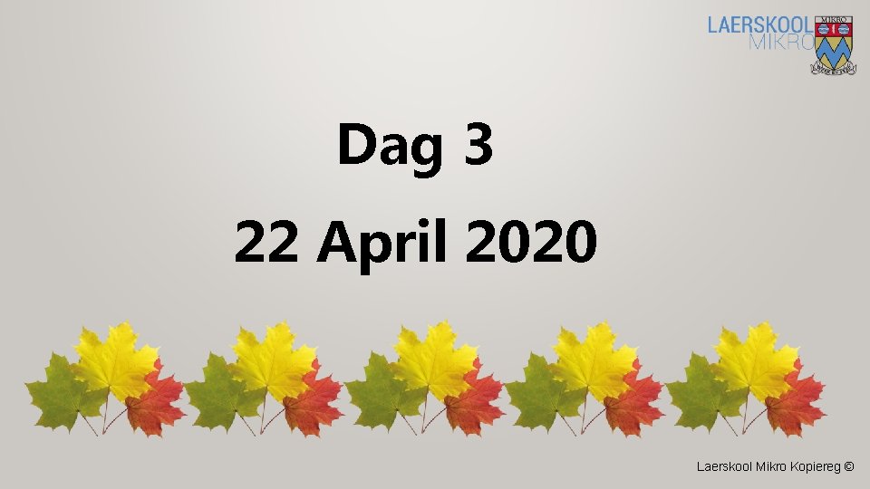 Dag 3 22 April 2020 Laerskool Mikro Kopiereg © 