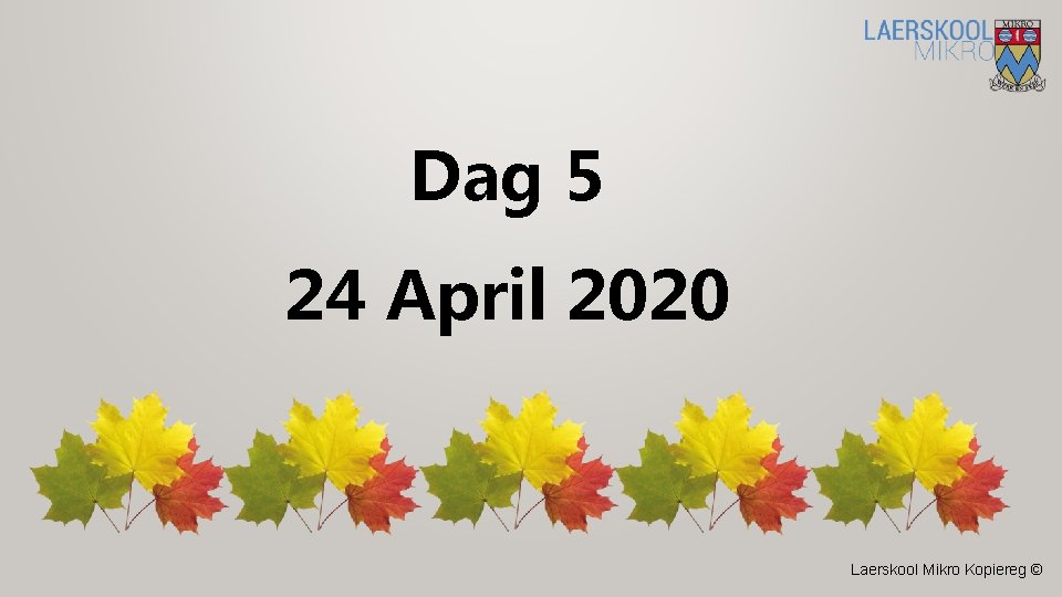 Dag 5 24 April 2020 Laerskool Mikro Kopiereg © 