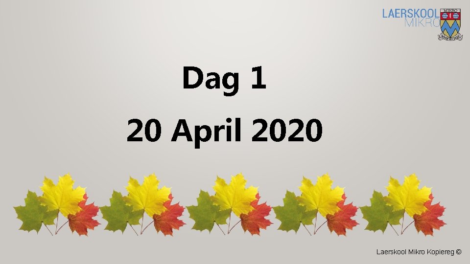 Dag 1 20 April 2020 Laerskool Mikro Kopiereg © 