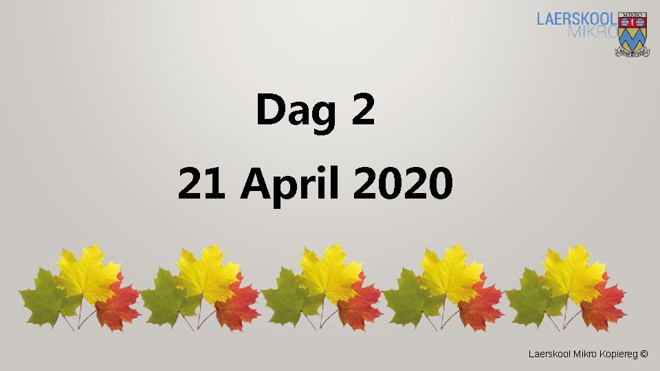 Dag 2 21 April 2020 Laerskool Mikro Kopiereg © 
