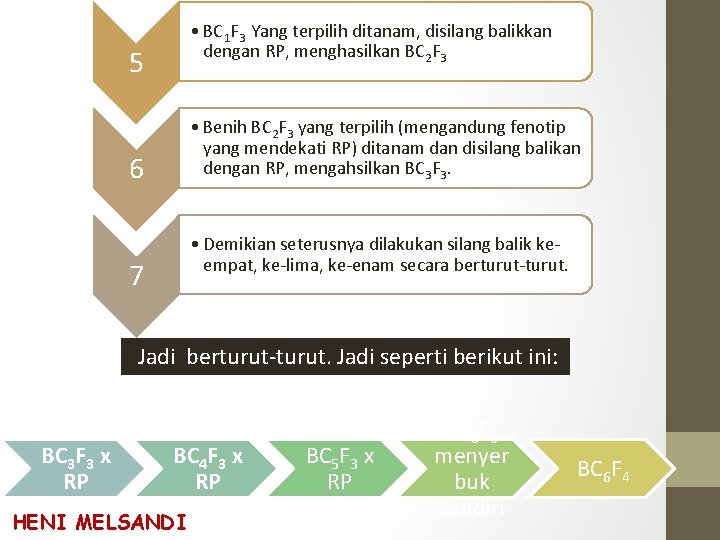  • BC 1 F 3 Yang terpilih ditanam, disilang balikkan dengan RP, menghasilkan