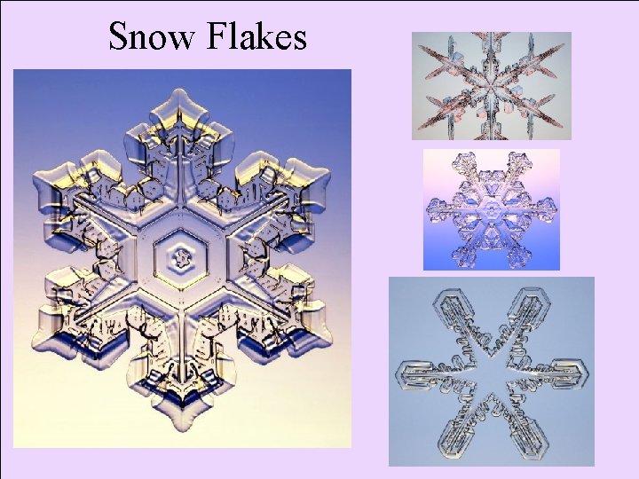 Snow Flakes 