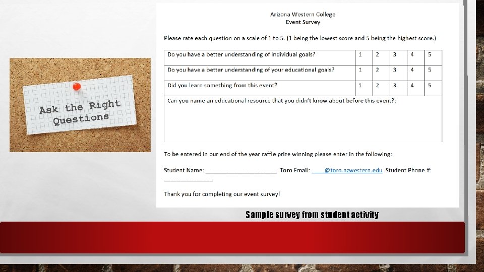 Sample survey from student activity 