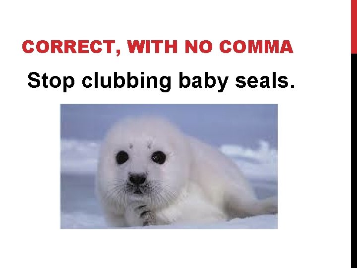 CORRECT, WITH NO COMMA Stop clubbing baby seals. 