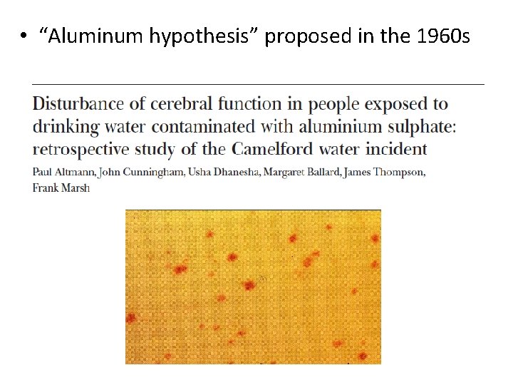  • “Aluminum hypothesis” proposed in the 1960 s 