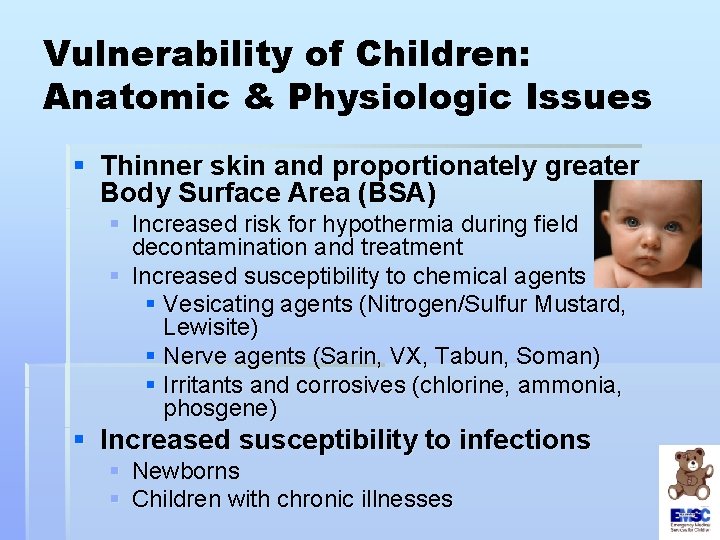 Vulnerability of Children: Anatomic & Physiologic Issues § Thinner skin and proportionately greater Body