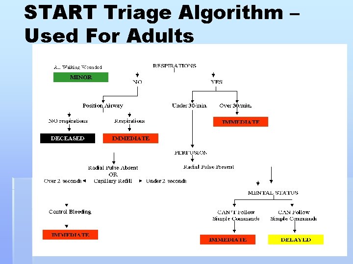 START Triage Algorithm – Used For Adults 