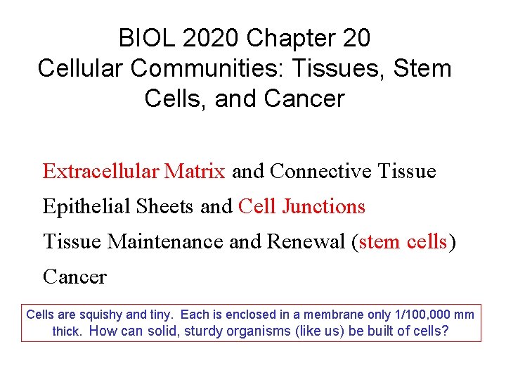 BIOL 2020 Chapter 20 Cellular Communities: Tissues, Stem Cells, and Cancer Extracellular Matrix and