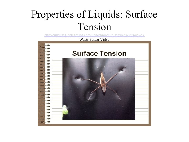 Properties of Liquids: Surface Tension http: //www. visionlearning. com/library/module_viewer. php? mid=57 Water Strider Video