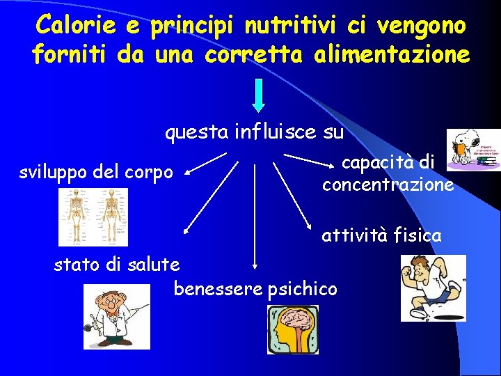 Calorie e principi nutritivi ci vengono forniti da una corretta alimentazione questa influisce su