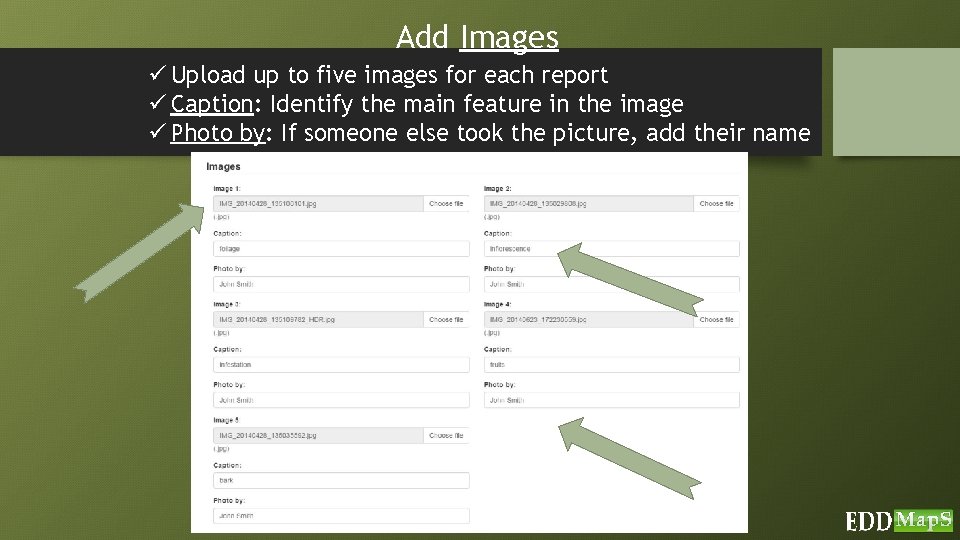 Add Images ü Upload up to five images for each report ü Caption: Identify