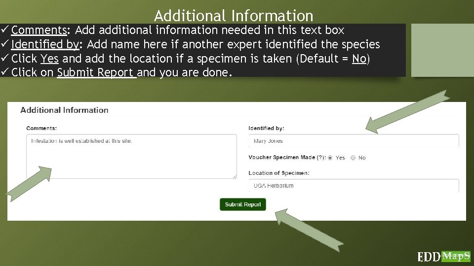 Additional Information ü Comments: Add additional information needed in this text box ü Identified
