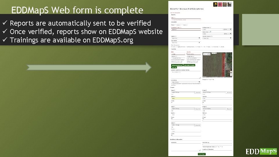 EDDMap. S Web form is complete ü Reports are automatically sent to be verified