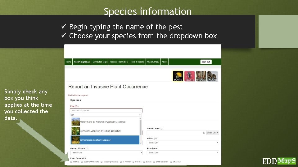 Species information ü Begin typing the name of the pest ü Choose your species
