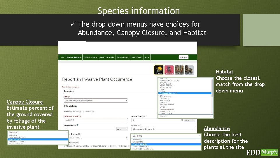 Species information ü The drop down menus have choices for Abundance, Canopy Closure, and