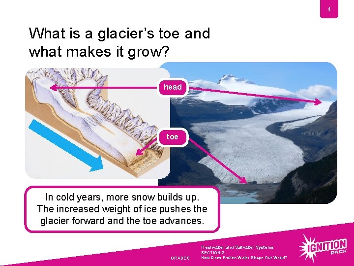 4 What is a glacier’s toe and what makes it grow? head toe In
