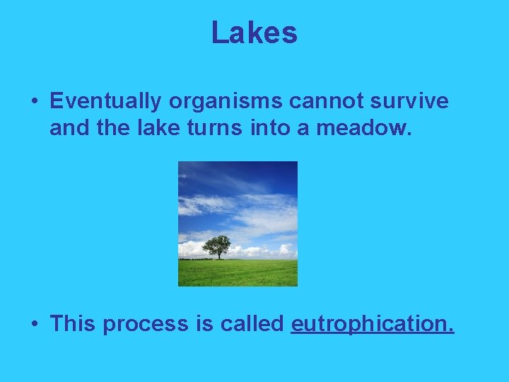 Lakes • Eventually organisms cannot survive and the lake turns into a meadow. •