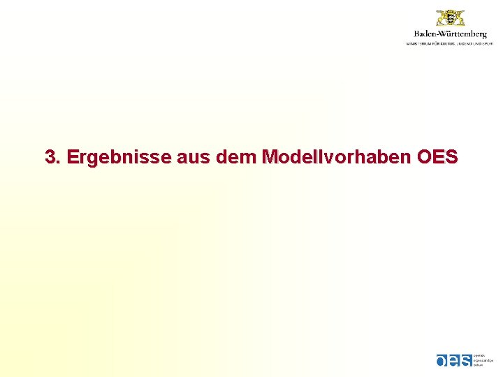 3. Ergebnisse aus dem Modellvorhaben OES 