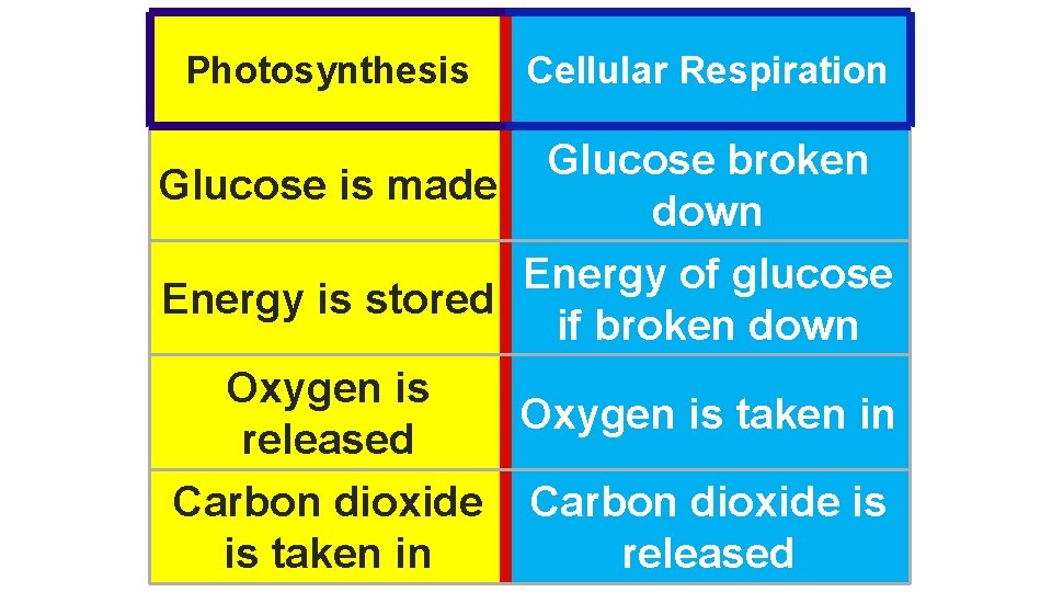 Photosynthesis Cellular Respiration Glucose broken Glucose is made down Energy of glucose Energy is