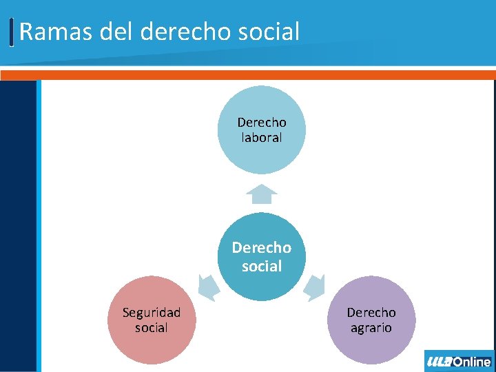 Ramas del derecho social Derecho laboral Derecho social Seguridad social Derecho agrario 