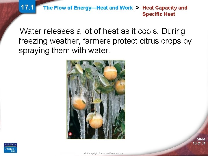 17. 1 The Flow of Energy—Heat and Work > Heat Capacity and Specific Heat 17. 1 The Flow of Energy—Heat and Work > Heat Capacity and Specific Heat