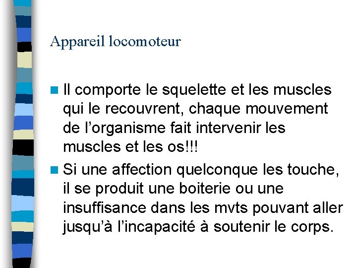 Appareil locomoteur n Il comporte le squelette et les muscles qui le recouvrent, chaque