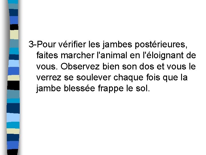 3 -Pour vérifier les jambes postérieures, faites marcher l'animal en l'éloignant de vous. Observez