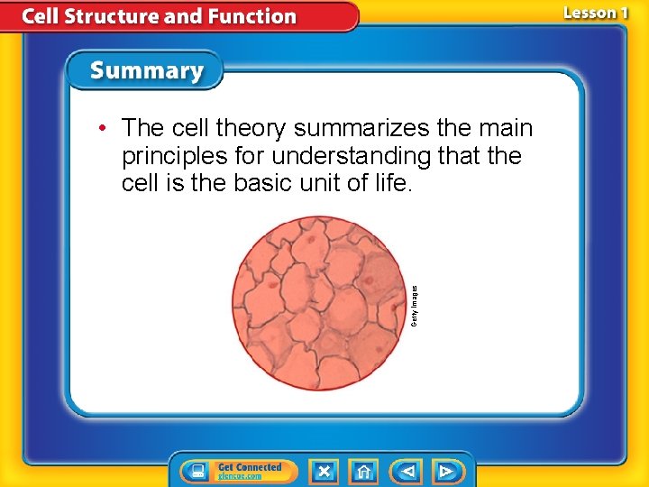 Getty Images • The cell theory summarizes the main principles for understanding that the Getty Images • The cell theory summarizes the main principles for understanding that the