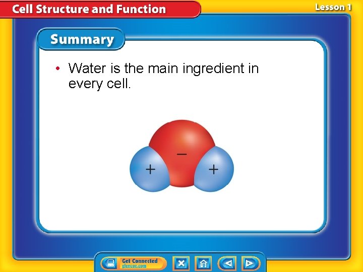 • Water is the main ingredient in every cell. • Water is the main ingredient in every cell.