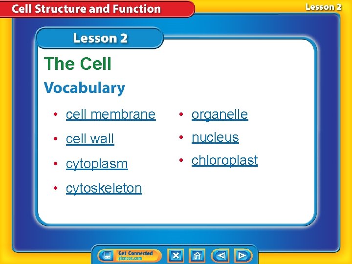 The Cell • cell membrane • organelle • cell wall • nucleus • cytoplasm The Cell • cell membrane • organelle • cell wall • nucleus • cytoplasm