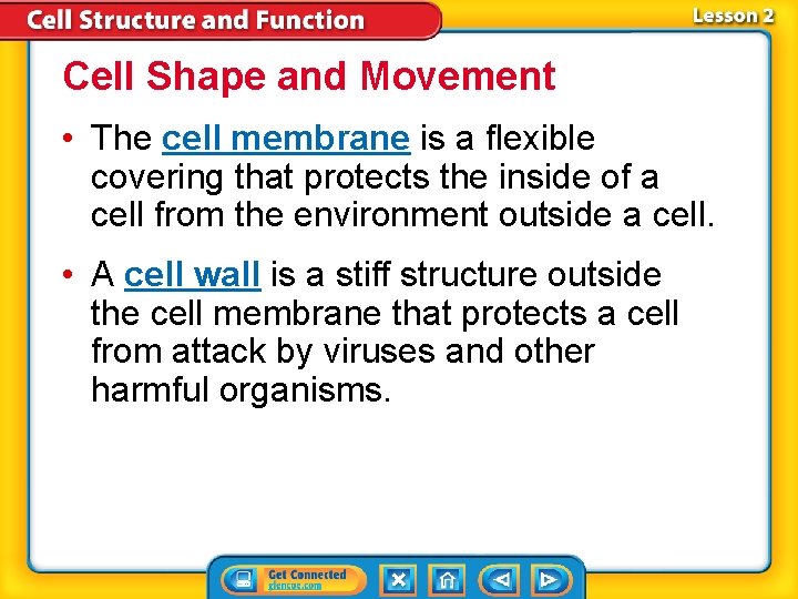 Cell Shape and Movement • The cell membrane is a flexible covering that protects Cell Shape and Movement • The cell membrane is a flexible covering that protects