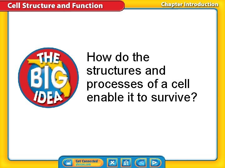 How do the structures and processes of a cell enable it to survive? How do the structures and processes of a cell enable it to survive?