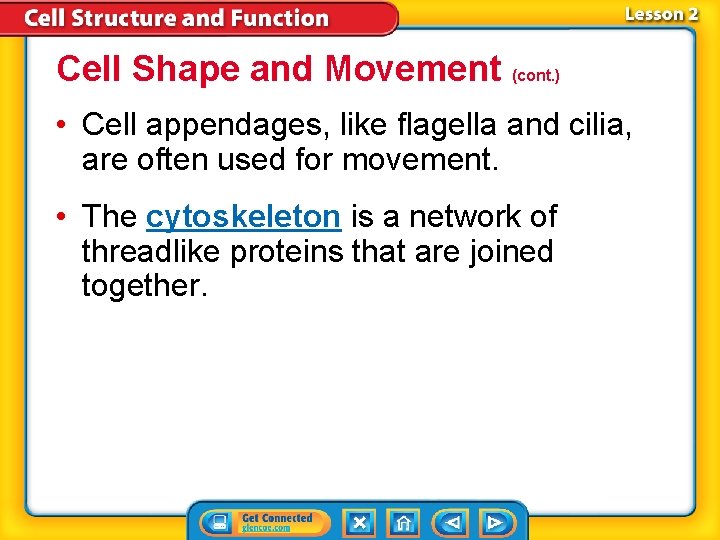 Cell Shape and Movement (cont. ) • Cell appendages, like flagella and cilia, are Cell Shape and Movement (cont. ) • Cell appendages, like flagella and cilia, are
