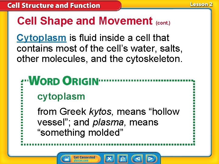 Cell Shape and Movement (cont. ) Cytoplasm is fluid inside a cell that contains Cell Shape and Movement (cont. ) Cytoplasm is fluid inside a cell that contains