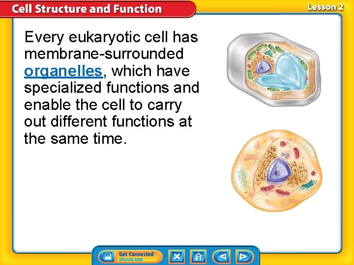 Every eukaryotic cell has membrane-surrounded organelles, which have specialized functions and enable the cell Every eukaryotic cell has membrane-surrounded organelles, which have specialized functions and enable the cell