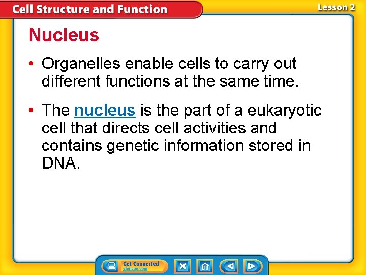Nucleus • Organelles enable cells to carry out different functions at the same time. Nucleus • Organelles enable cells to carry out different functions at the same time.