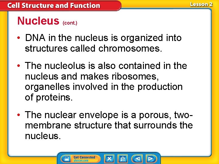 Nucleus (cont. ) • DNA in the nucleus is organized into structures called chromosomes. Nucleus (cont. ) • DNA in the nucleus is organized into structures called chromosomes.