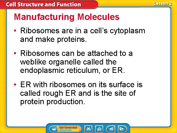 Manufacturing Molecules • Ribosomes are in a cell’s cytoplasm and make proteins. • Ribosomes Manufacturing Molecules • Ribosomes are in a cell’s cytoplasm and make proteins. • Ribosomes